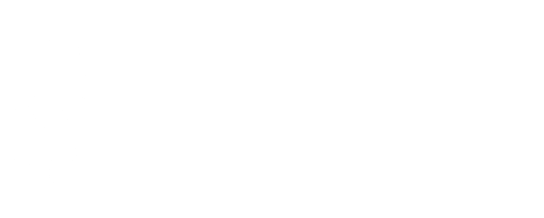 summit fuel transparent logo